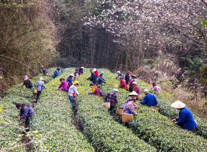 1687487887212478.jpg 5.jpg