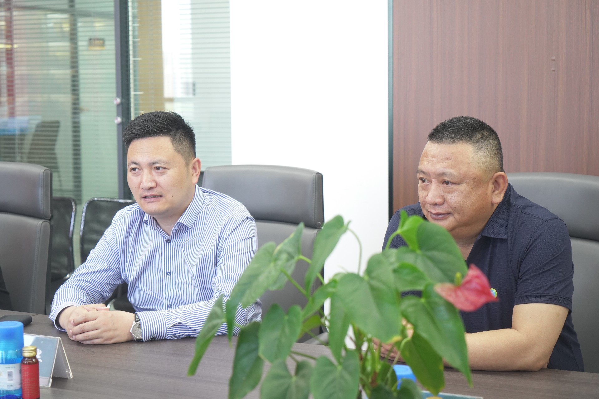 1713958336176709.jpg 6.jpg